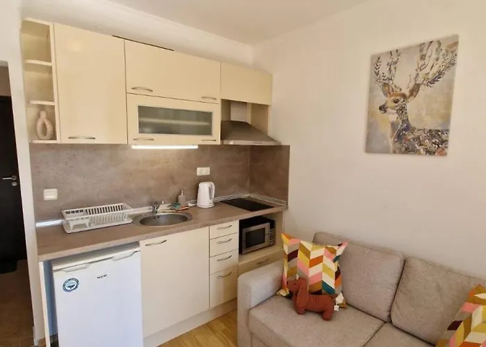 Astoria 2 - Premium 公寓 埃勒尼特